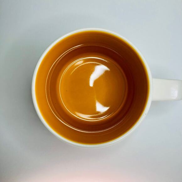 Starbucks You Are Here Arizona Desert Cactus Grand Canyon 2014 Coffee Mug EUC - Picture 8 of 10